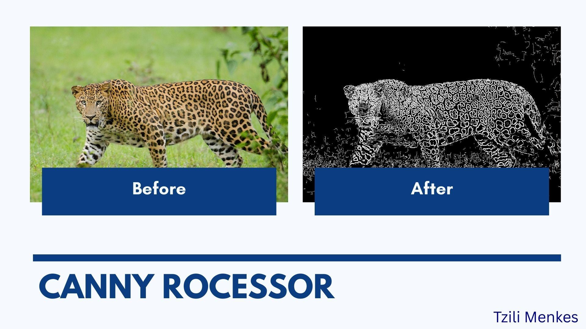 Tzili M. - Task Preview