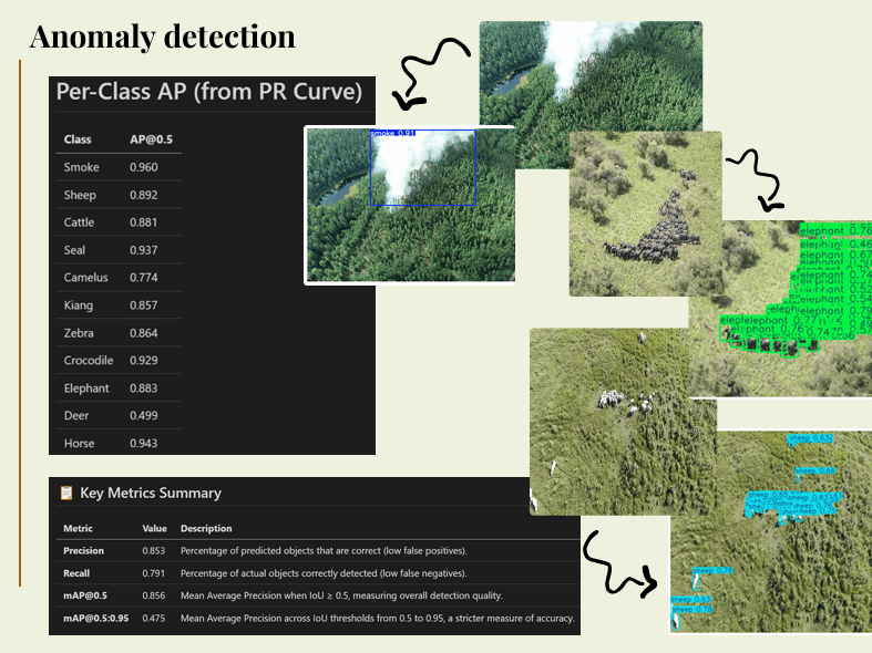 Yael V. - Task Preview