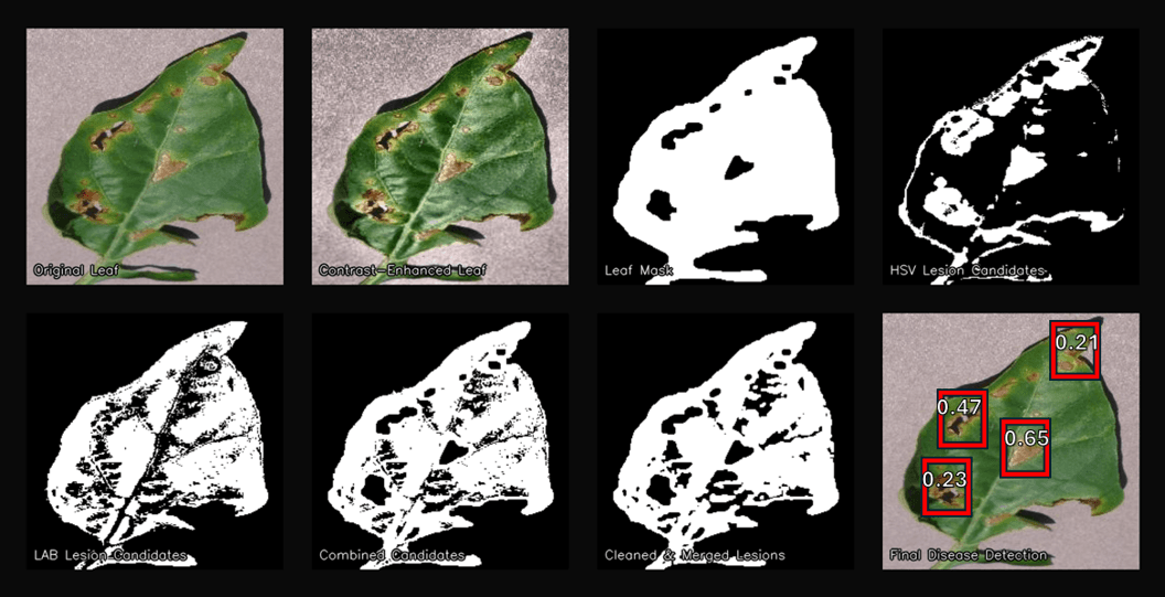 Chani F. - Task Preview